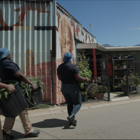 Delivering produce to community centre in Langrug - credit: Jason Boswell