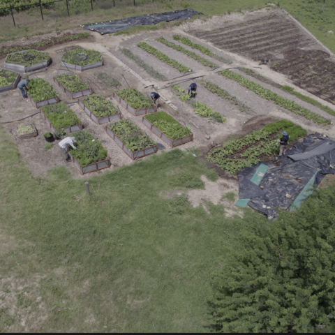 Drone footage taken October 2026 by Jason Boswell