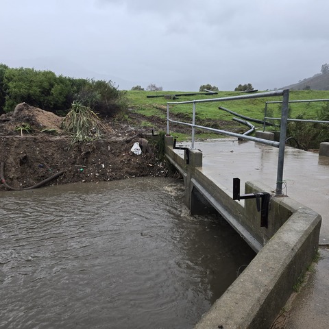Litter build-up on bridge cleared by digger (June 2026)
