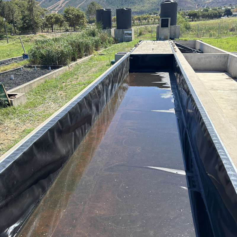 Treated effluent that meets irrigation water standards